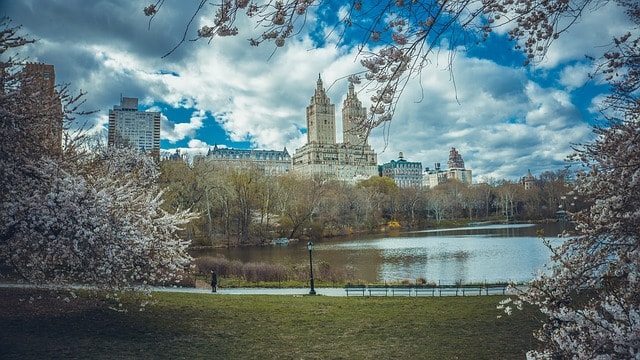 Central Park lors d'une visite de la ville de New York