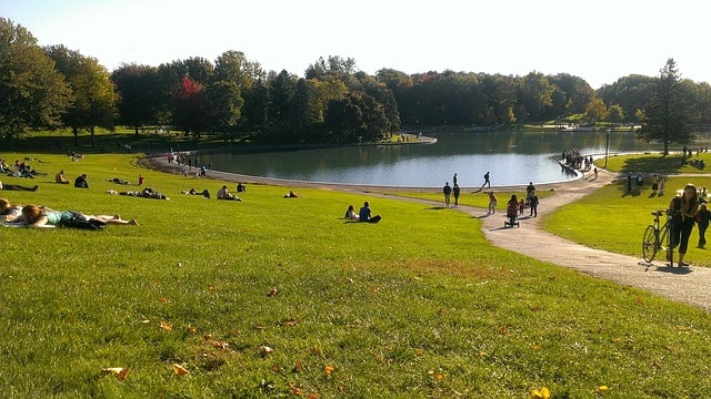 Parc du Mont-Royal lors d'une visite de la ville de Montréal