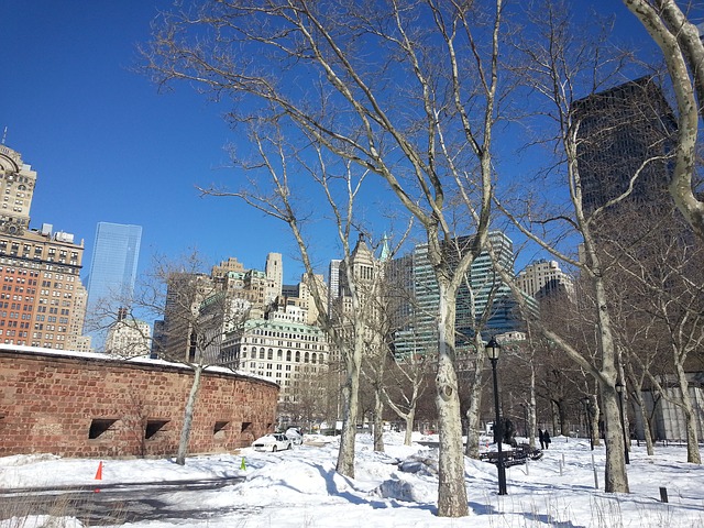 Battery Park enneigé à New York sous un ciel bleu.