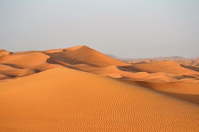Dunes orangées du désert de Dubaï.