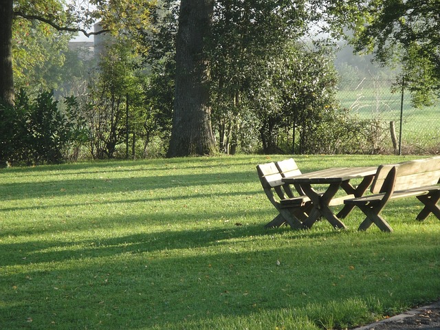 Table de pic-nic dans un espace vert.