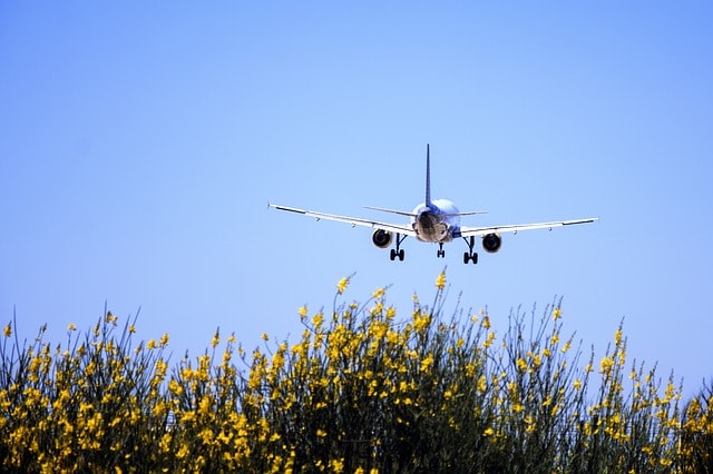 Avion en train de décoller au-dessus d'un champs de fleurs jaunes.