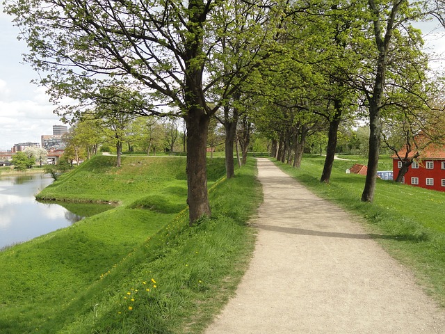 Allée en bord de lac dans le parc de Copenhague.