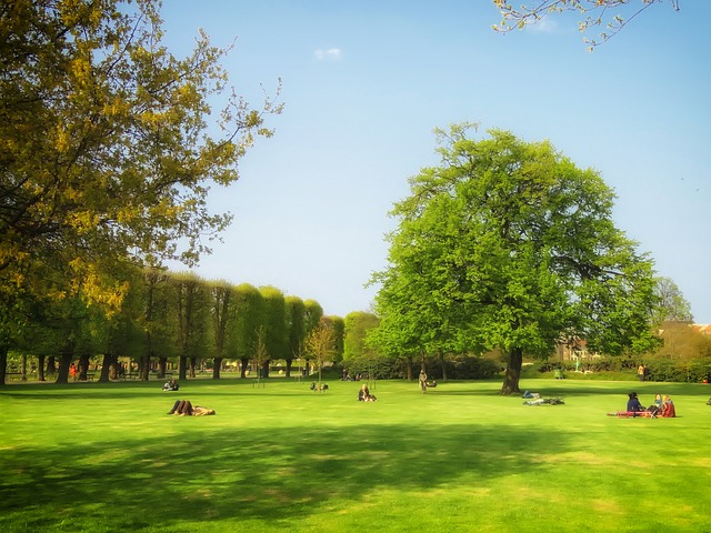 Parcs de Copenhague où des personnes sont allongées sur l'herbe verte.