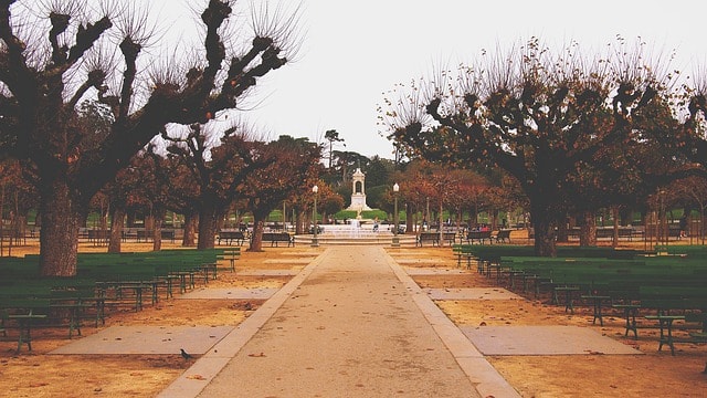 Allée dans le Golden Gate Park à San Francisco