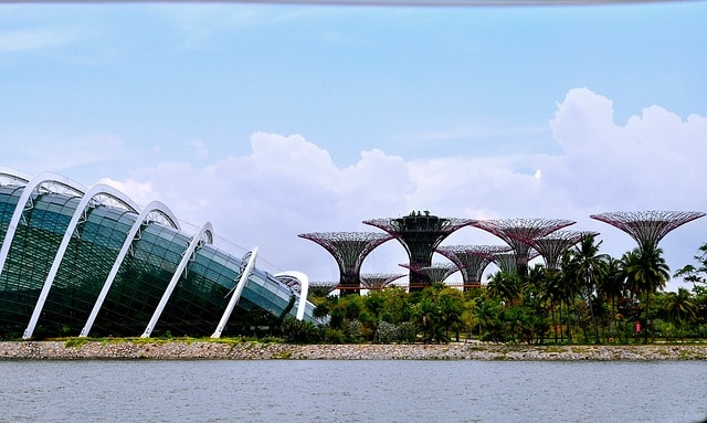 Le Jardin de la Baie et ses arbres géants surnommés "supertrees" à Singapour.