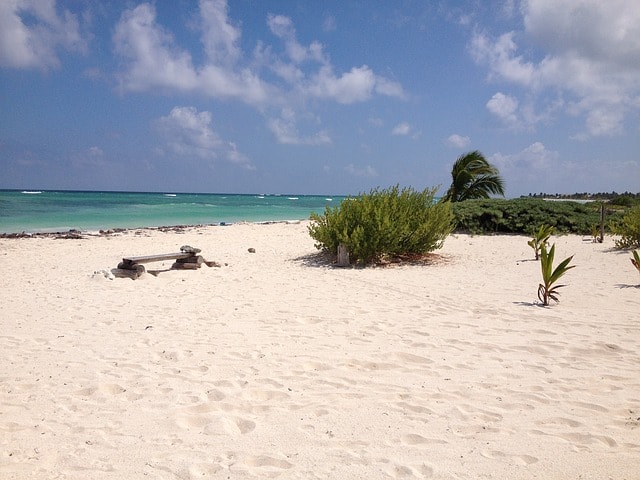 Plage de sable fin avec un peu de végétation bordée par une mer turquoise à Mahahuel à Cancun.