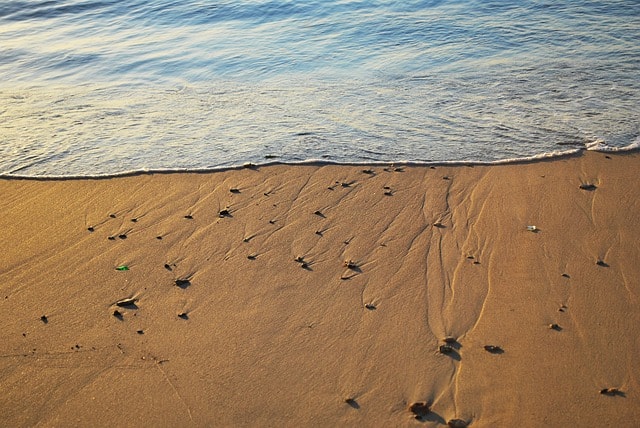 Une pause détente bien méritée à la plage d’Édimbourg après les visites. 