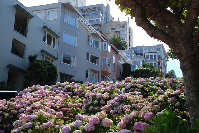 Exemple de jolies maisons ressemblant à celle de Mrs Doubtfire à San Francisco. 