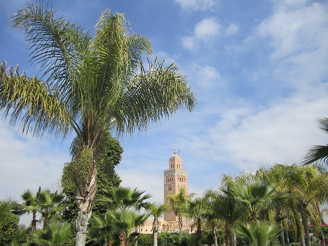 Vue sur la palmeraie de Marrakech : palmiers et monument religieux.