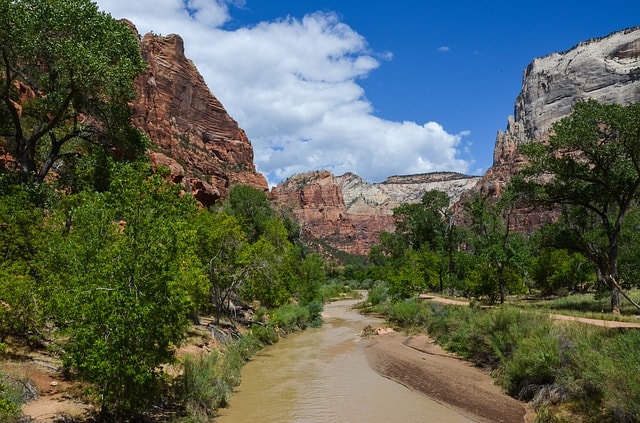 Paysages diversifiés : montagnes, forêts, grottes, etc. au Zion National Park Las Vegas.