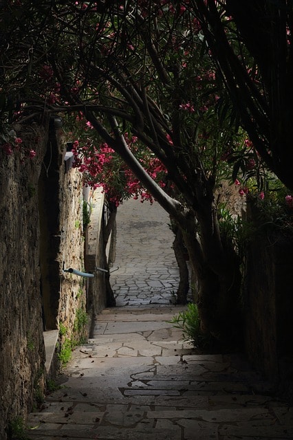 Arbres créant une petite allée très calme dans un jardin à Venise.