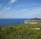 Paysages Sant Antoni de POrtmany : forêts, plages, mer.