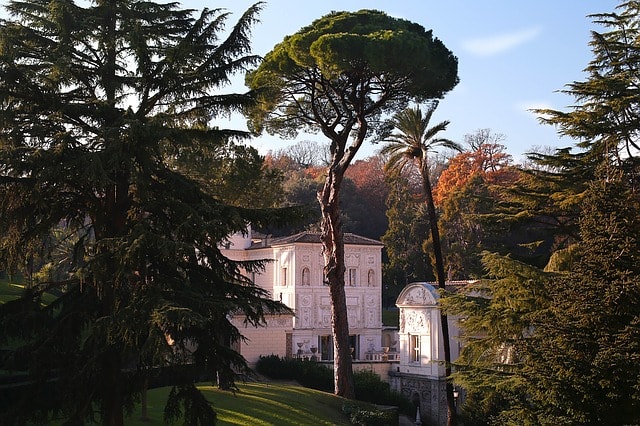 Arbres et pelouse dans les magnifiques jardins du Vatican.