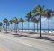 Rue longée par des palmiers et plages à Miami.