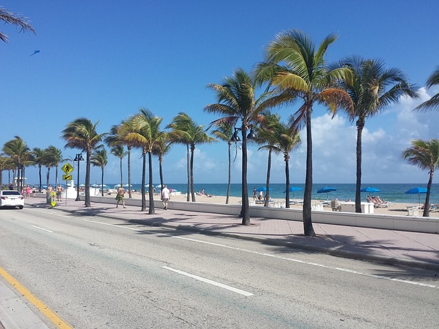 Rue longée par des palmiers et plages à Miami.