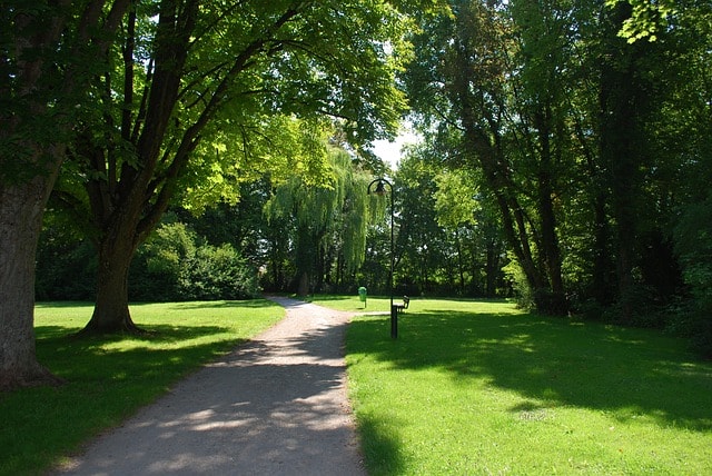 Sentier dans un joli parc.