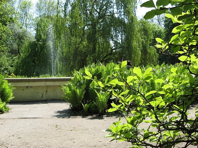 Fontaine avec jet d'eau entouré d'un beau jardin.