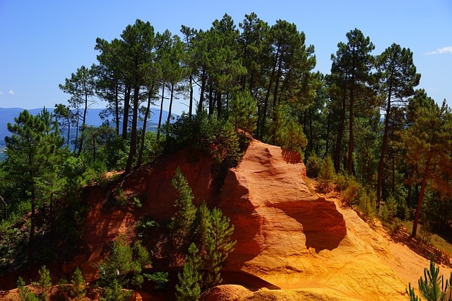 Paysage de canyon au King's Canyon National Park.