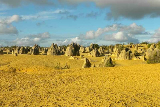 Le désert de Pinnacle, un des beaux parcs de l'Ouest australien.