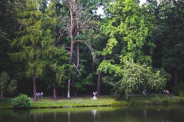 Lac artificiel bordé d'arbres et quelques promeneurs.