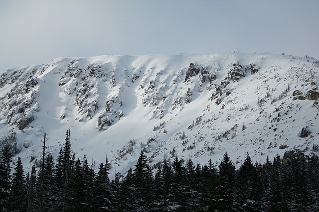 Montagnes enneigées et forêts.