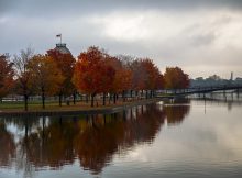 Fleuve de Montréal bordé par des arbres en automne.