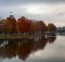 Fleuve de Montréal bordé par des arbres en automne.