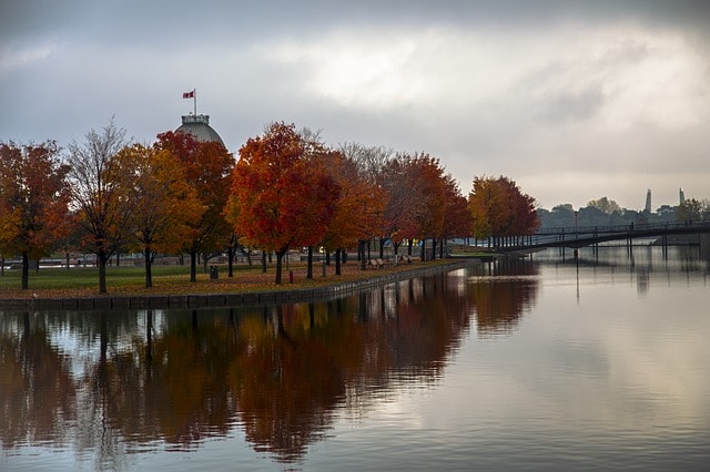 Fleuve de Montréal bordé par des arbres en automne. 