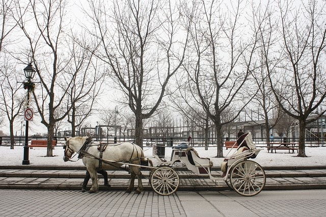 Calèche blanche dans le vieux Montréal, une belle destination hivernale en 2017.