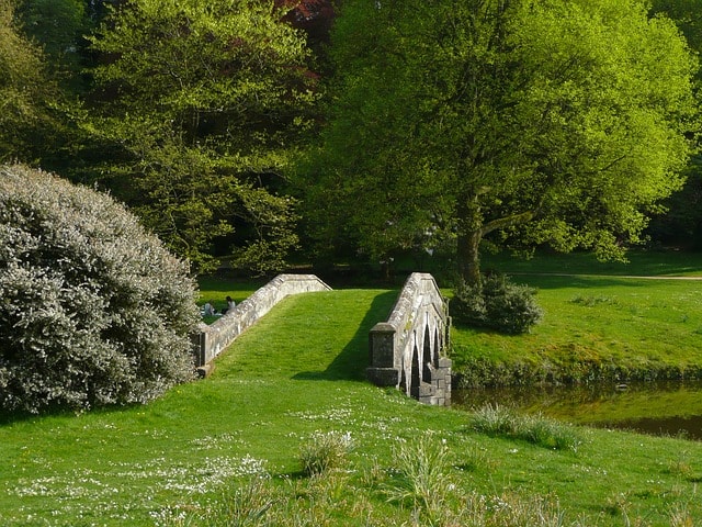 Pont traversant un cours d'eau dans un espace vert.