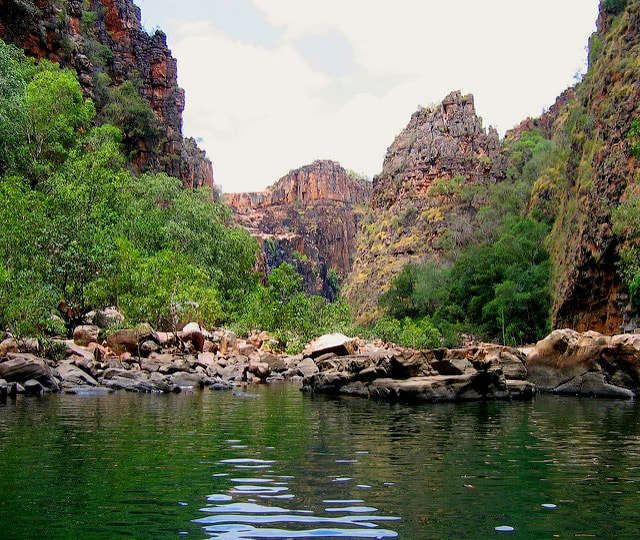 Entre marécages et falaises tranchantes au coeur du parc de Kakadu