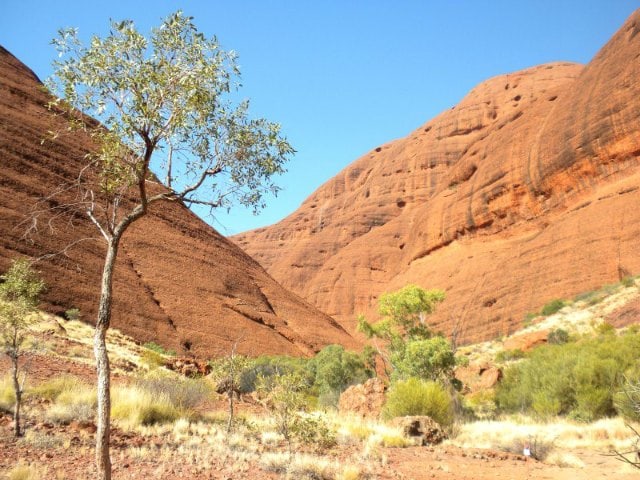 Vue durant la randonnée sur les dômes de Kata Tjuta