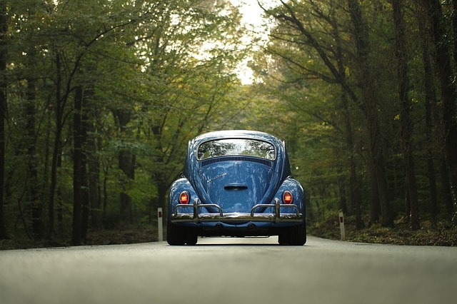 Un vieille voiture rutilante parcoure les chemins de forêts