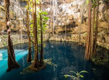 Le spendide cenote Oxman, près de Valladolid, Yucatan