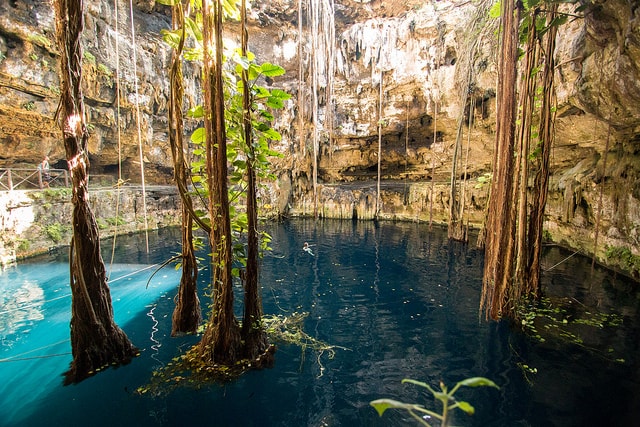 Le spendide cenote Oxman, près de Valladolid, Yucatan