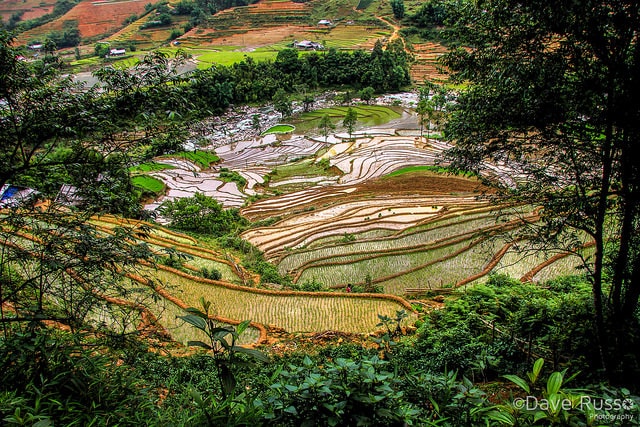 Road trip au Vietnam : vue en hauteur sur les rizières dans la région de Sapa