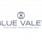 Logo BlueValet