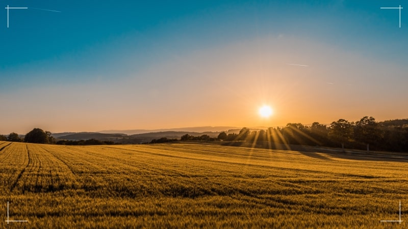 soleil écrasant sur un paysage chaud et ciel bleu.