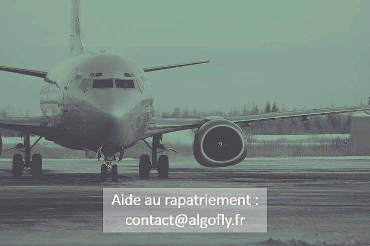 Covid-19 : le comparateur de vol Algofly : une aide efficace pour se faire rapatrier.