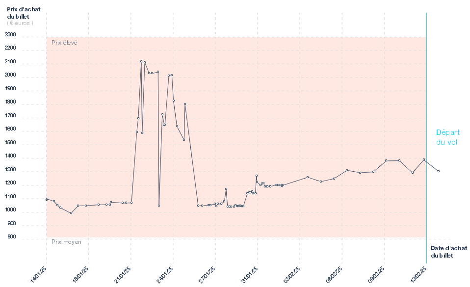 Prix des billets d'avion Lyon - Sao Paulo