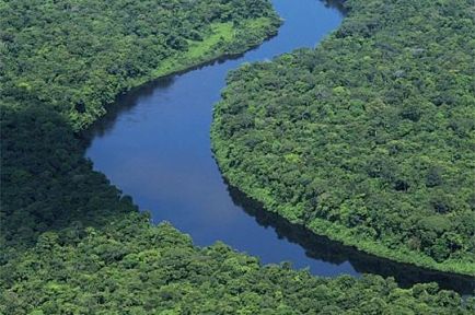 Découvrez une superbe vue aérienne de la rivière Sinnamary entourée de forêt vierge avec un billet d'avion pour la Guyane française.