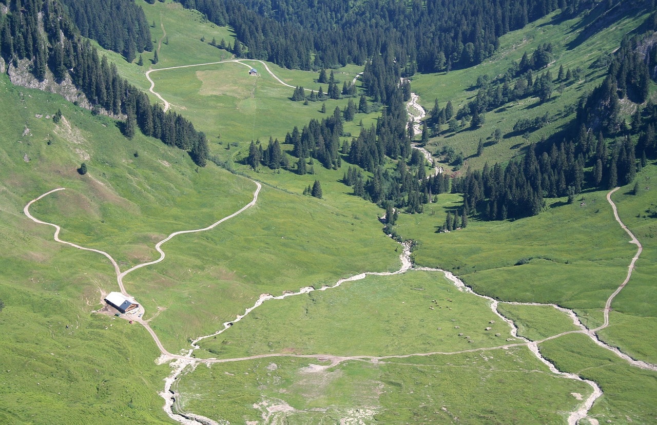 Un vol Autriche pas cher avec Algofly illustré par une vallée d'herbe verte et de sapin vu du ciel.