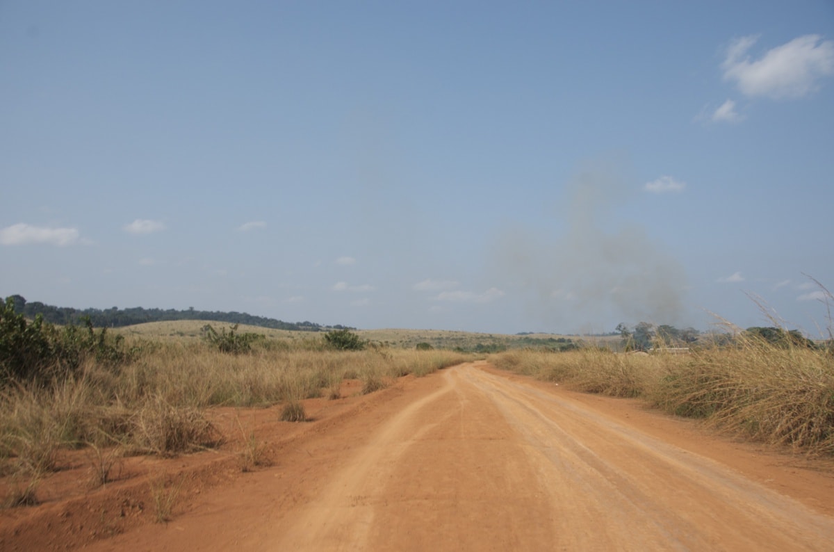 Un vol Congo pas cher avec Algofly illustré par une route de terre orangée, entourée d'herbe sèche.