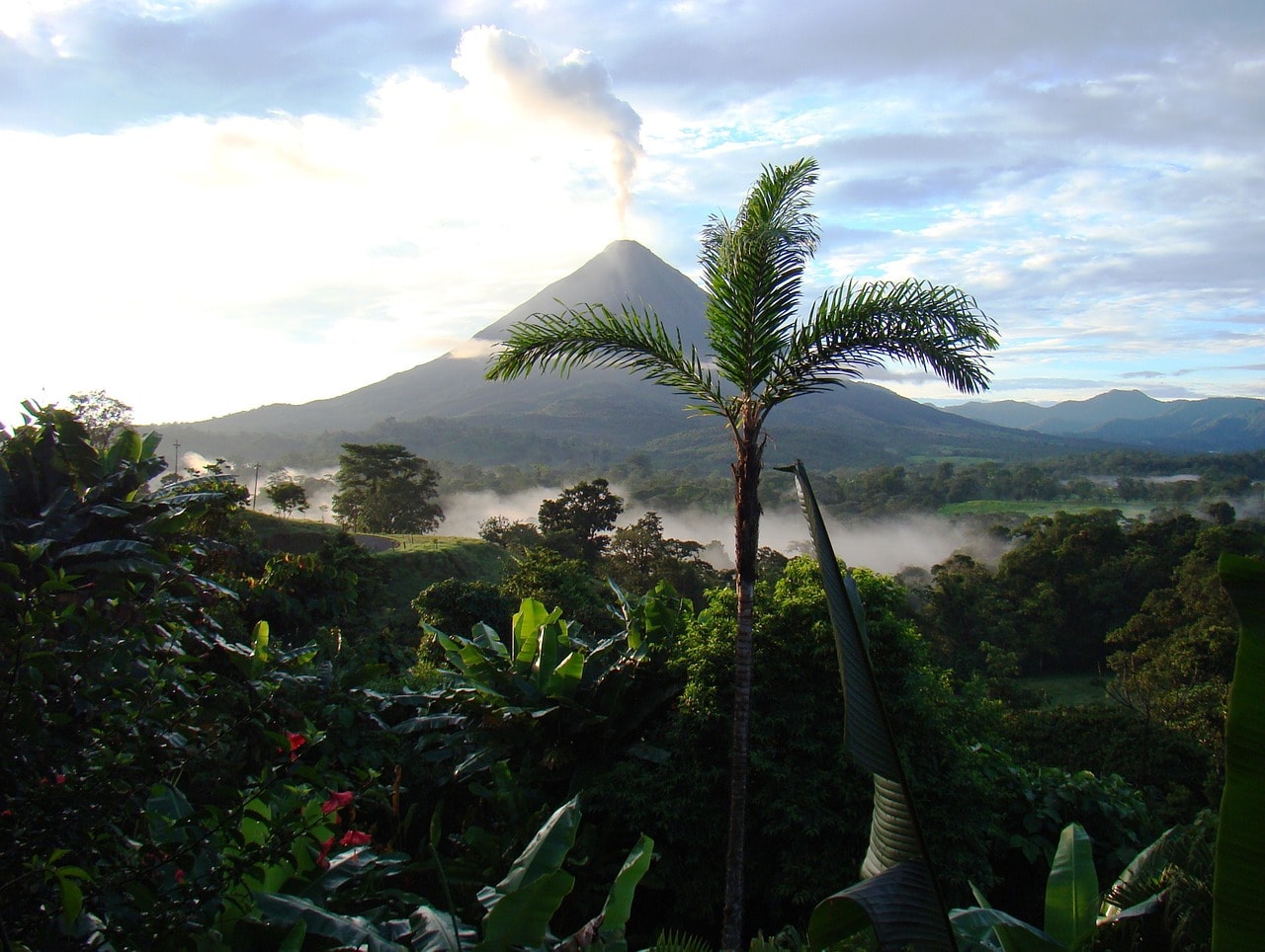 Un vol Costa Rica pas cher avec Algofly illustré par une végétation luxuriante.