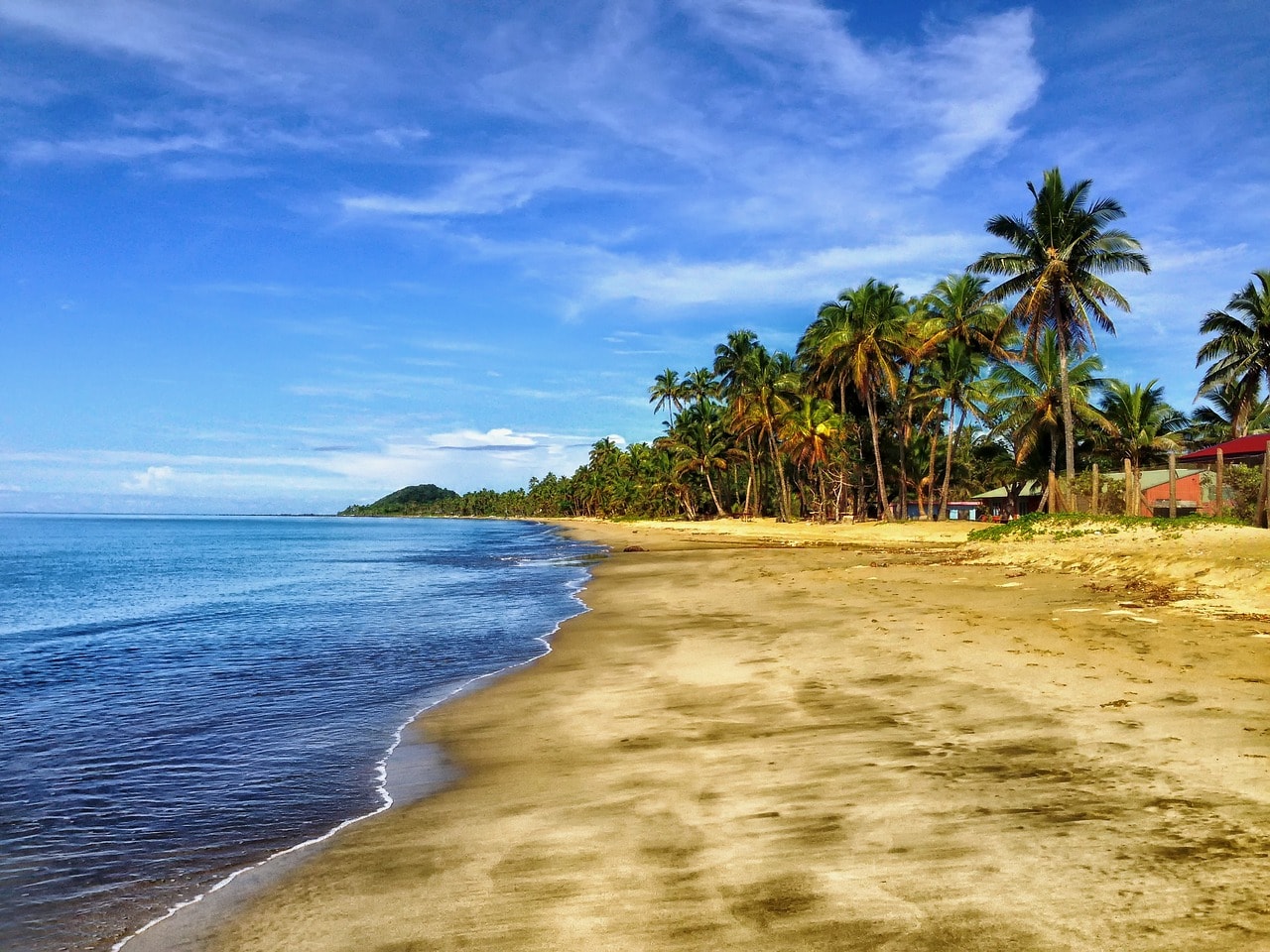 Un vol Fidji pas cher avec Algofly illustré par des palmiers et une plage de sable jaune sur une mer bleue intense.