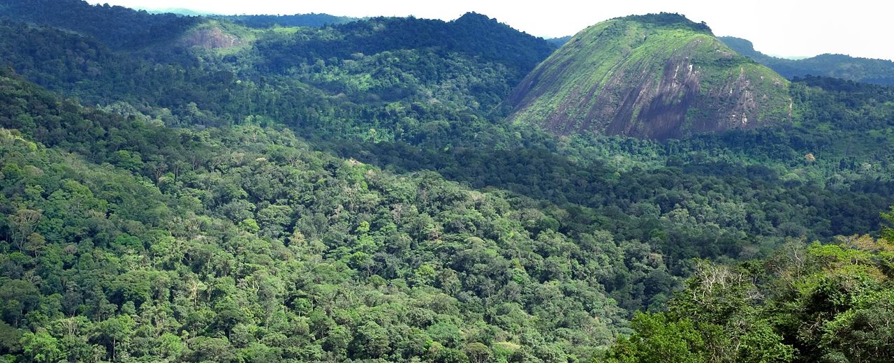 Un vol Guyana pas cher avec Algofly illustré par une végétation luxuriante étalée sur les reliefs.