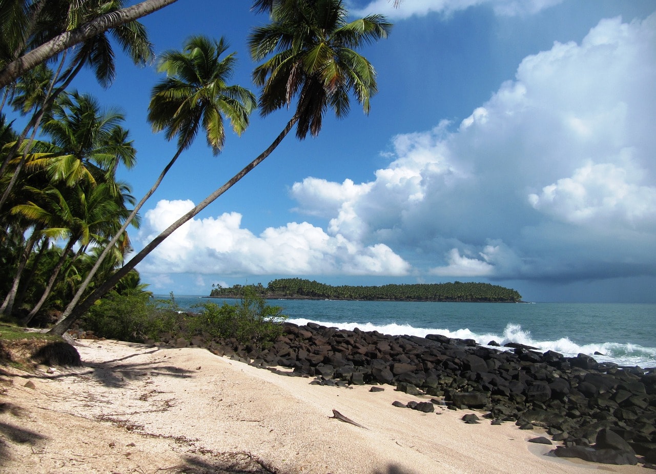 Un vol Guyane française pas cher avec Algofly illustré par des palmiers sur une plage de galets noirs et sable blanc. 