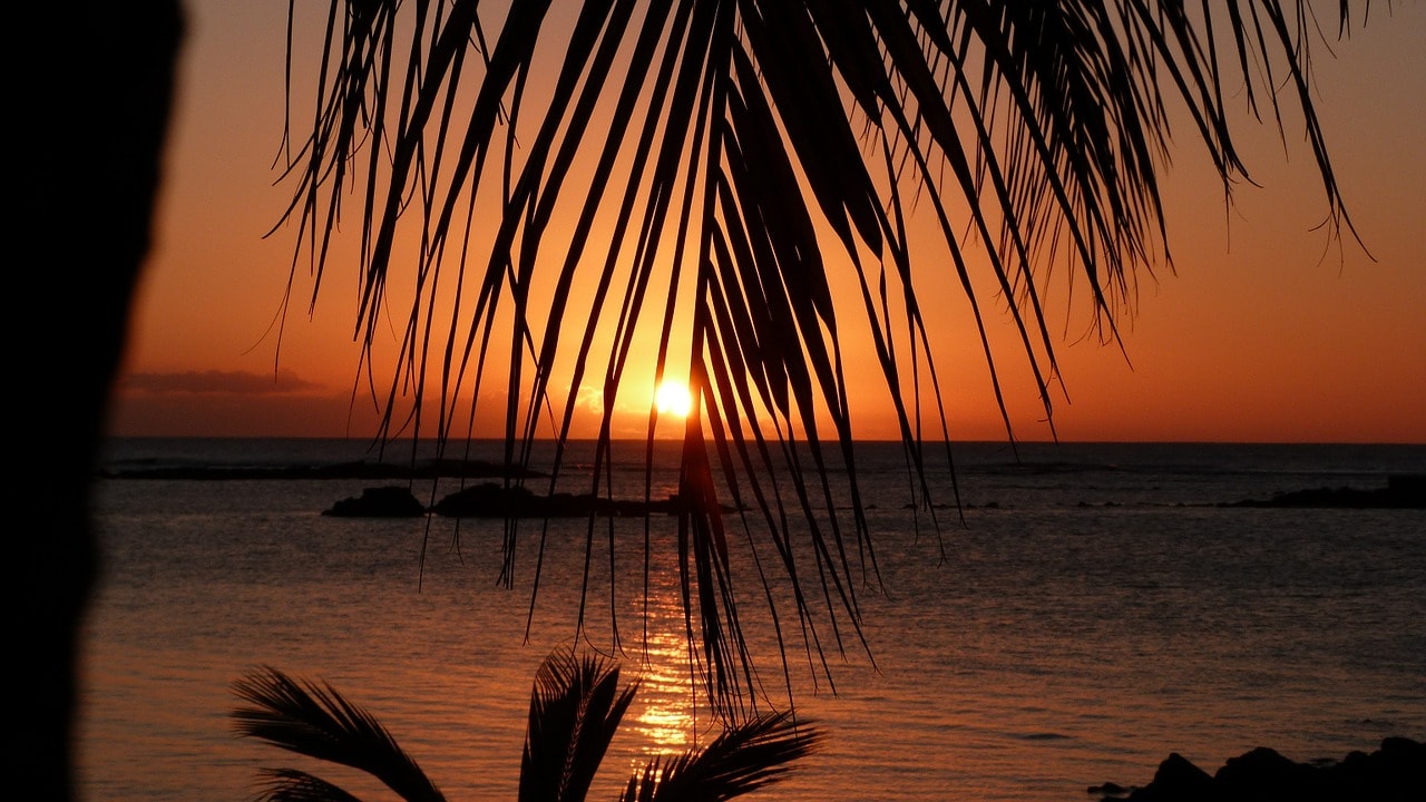 Un vol Ile Maurice pas cher avec Algofly illustré par un soleil couchant sur la mer devant une feuille de palmier.