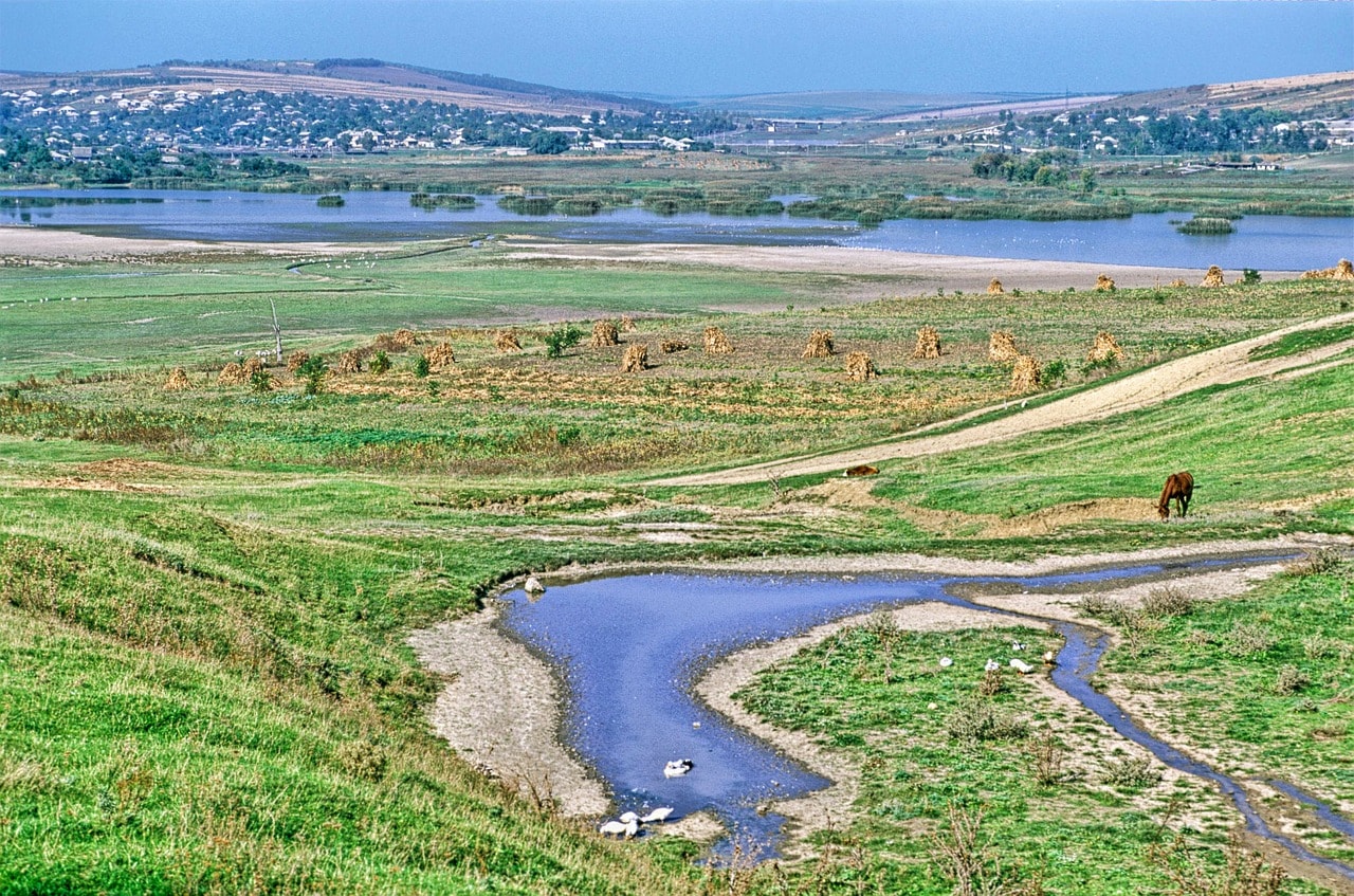 Un vol Moldavie pas cher avec Algofly illustré par un paysage de plaine d'herbe verte ou pâture un âne. 